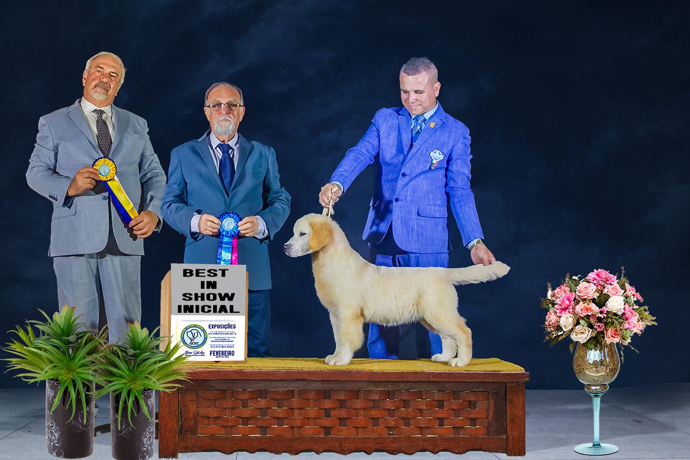 Exemplar Winkel's Golden